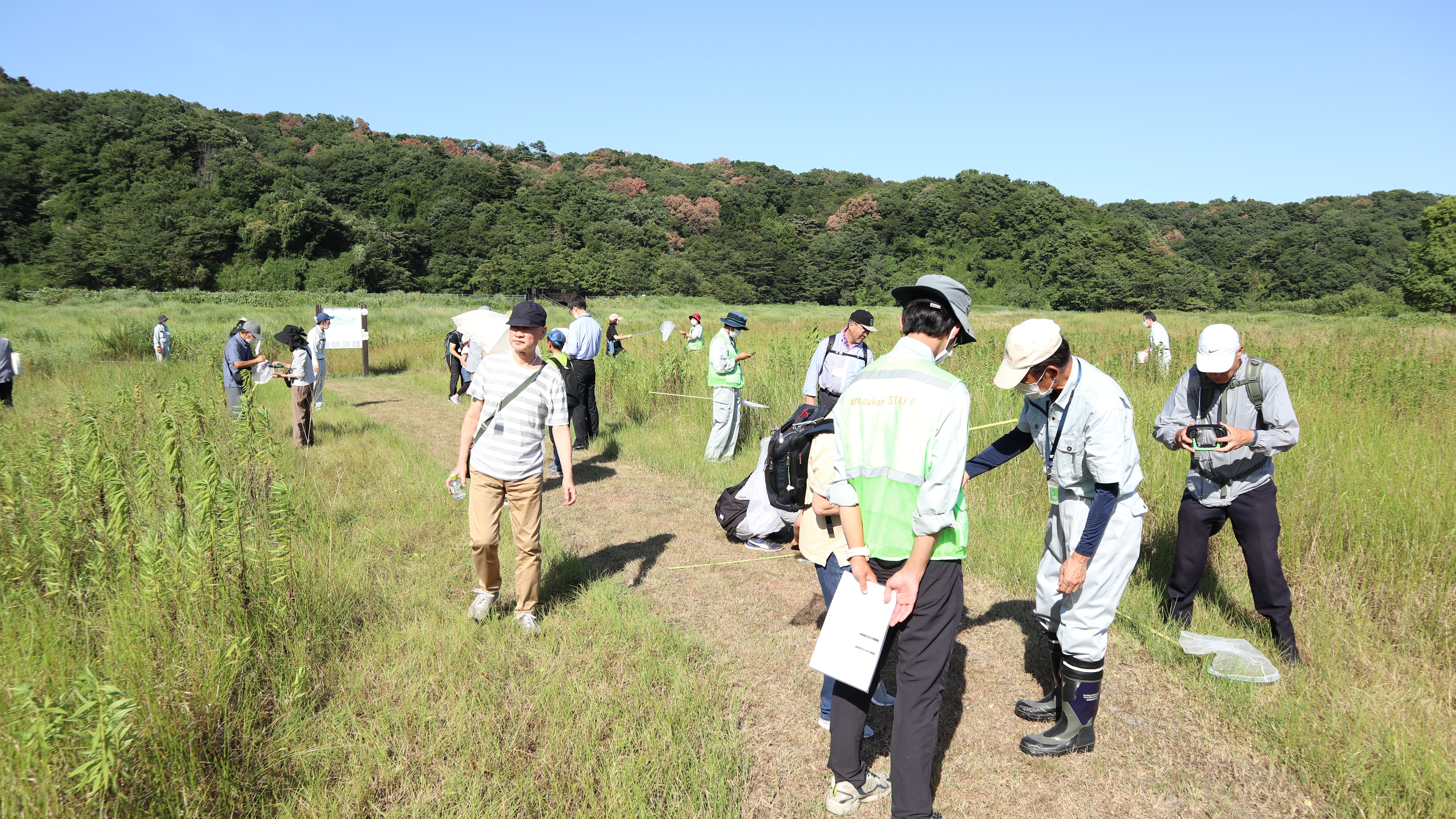 谷戸沢処分場での昆虫採集の様子