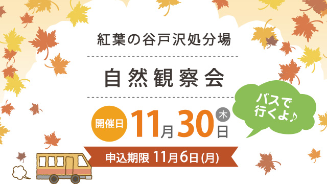 紅葉2023