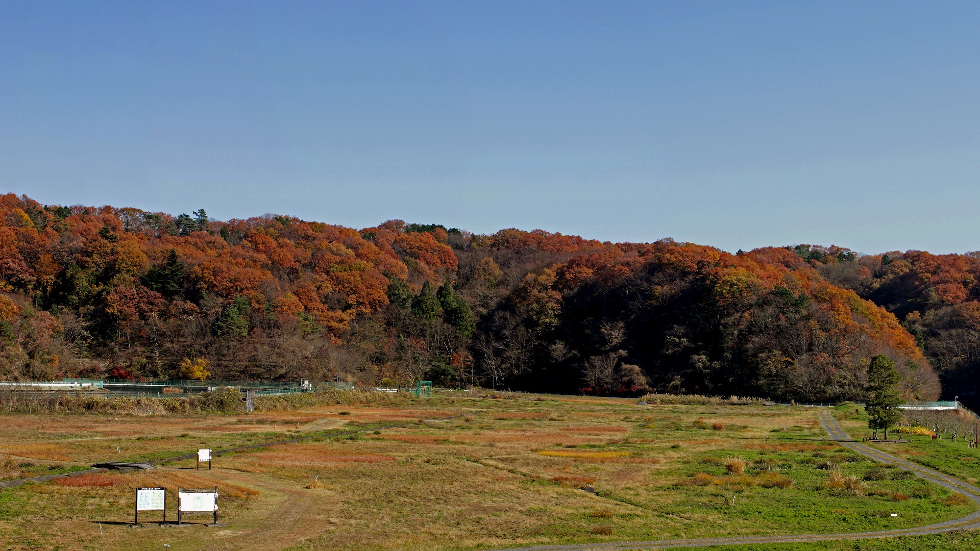谷戸沢処分場自然観察会 東京たま広域資源循環組合