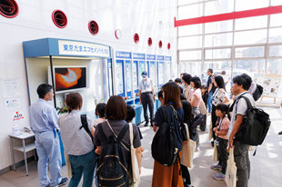 エコセメント化施設見学の様子