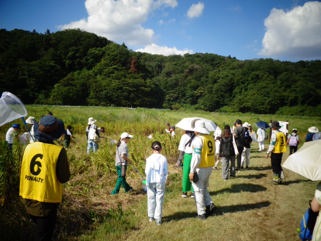 谷戸沢処分場での昆虫採集の様子