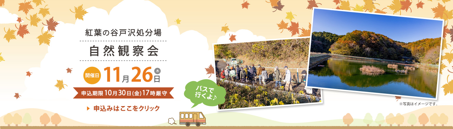 紅葉バナー