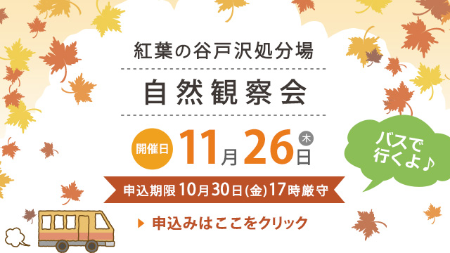 紅葉SPスライドバナー